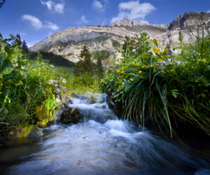 Yogaretreat Ostern Appenzellerland