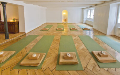 YIN Yoga Teacher Training