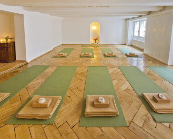 Yin Yoga Teacher Trainig 50h Yoga Lehrer Ausbildung